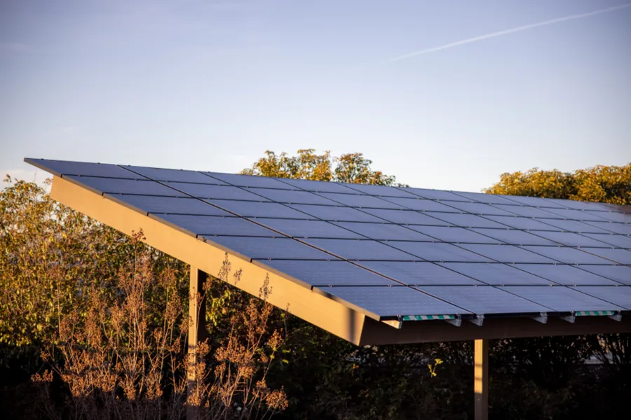 Rows of solar panels catching sunlight